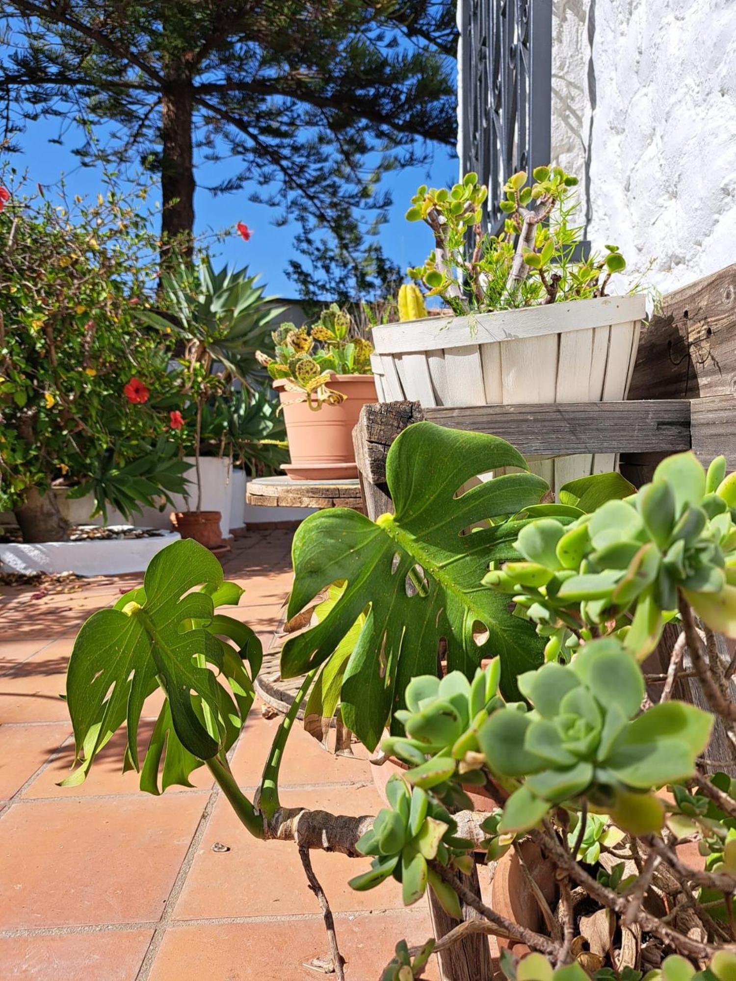 Casa Campo Mijas Costa Del Sol Malaga Bagian luar foto